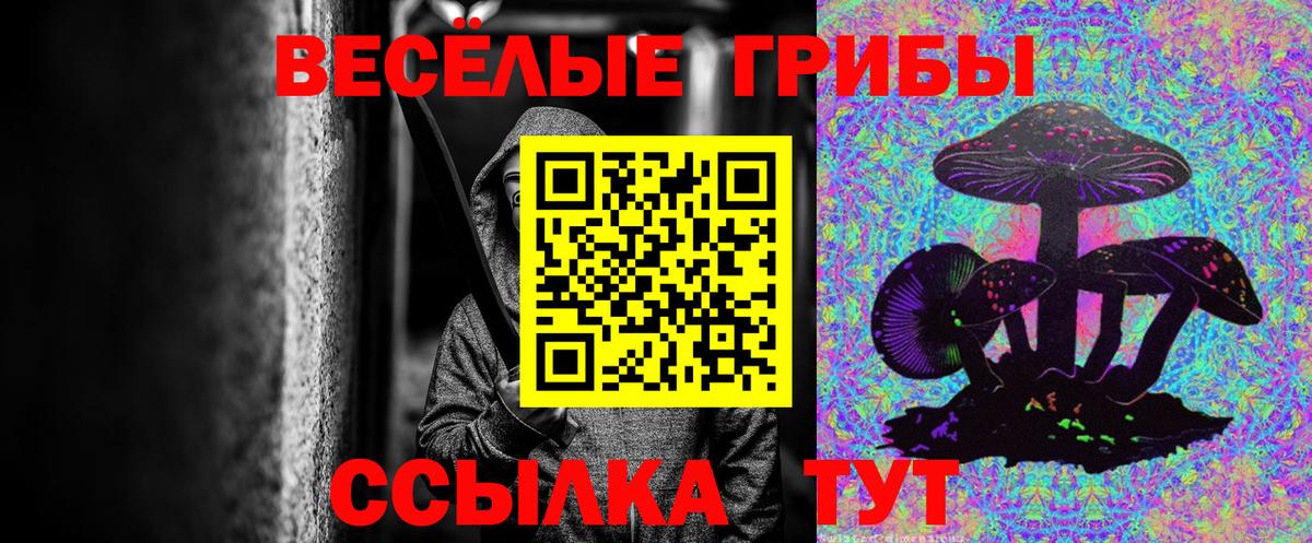 Первоуральск  Галлюциногенные грибы прущие грибы  Вход с VPN 